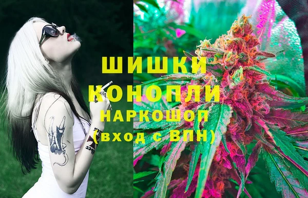 ПСИЛОЦИБИНОВЫЕ ГРИБЫ Алексин