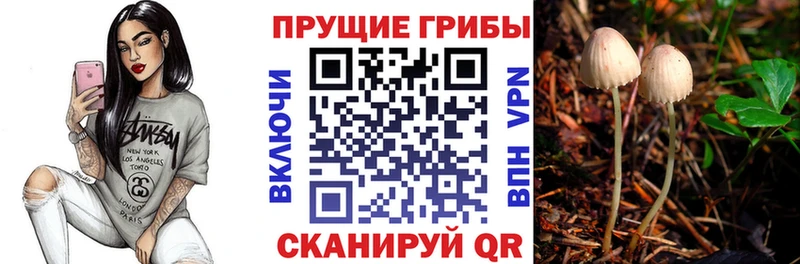 гидра   продажа наркотиков  Харовск  Псилоцибиновые грибы мухоморы 